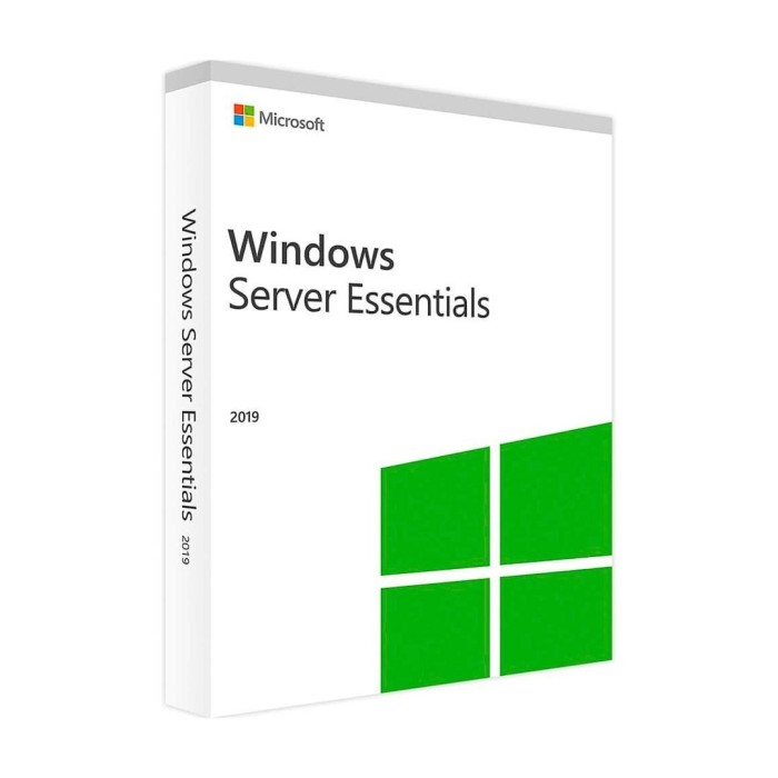 Licencia microsoft windows server 2019 essentials 1 servidor 1 2 cpu