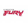 Kingston Fury